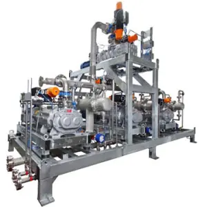 Engineered-to-Order Dry Vacuum Systems