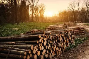 Vacuum Pressure Impregnation for Wood Treatment